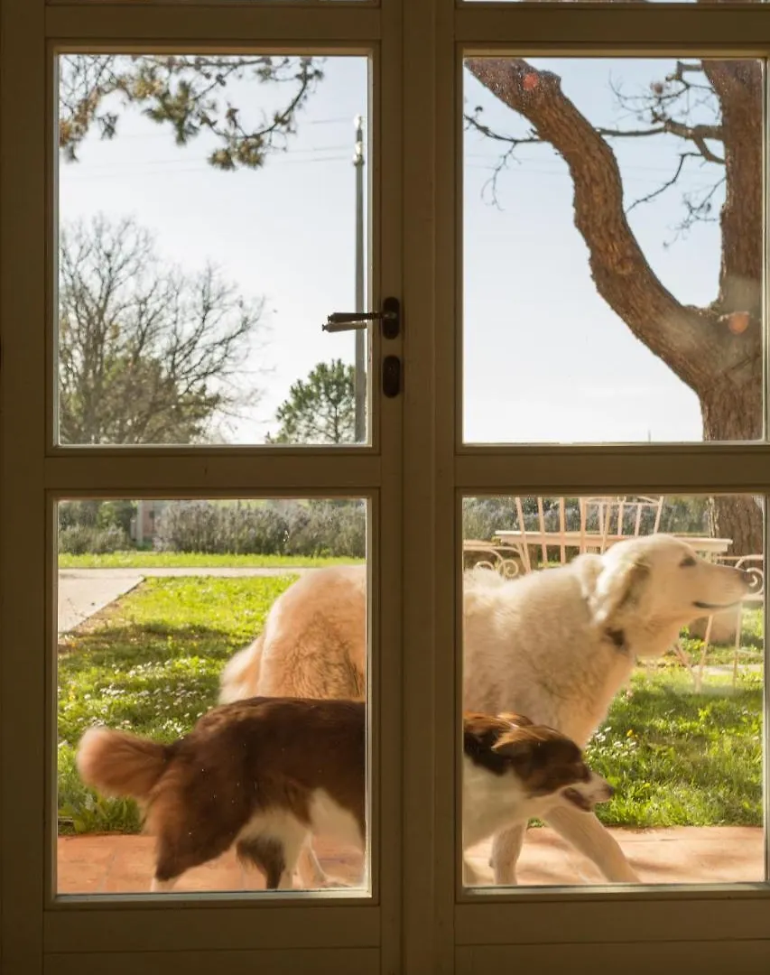 Residence La Beccanina Scarlino Country house